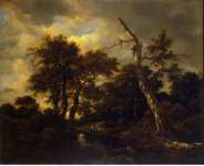 Ruisdael Jacob Isaaksz van Rivulet in a Forest - Hermitage